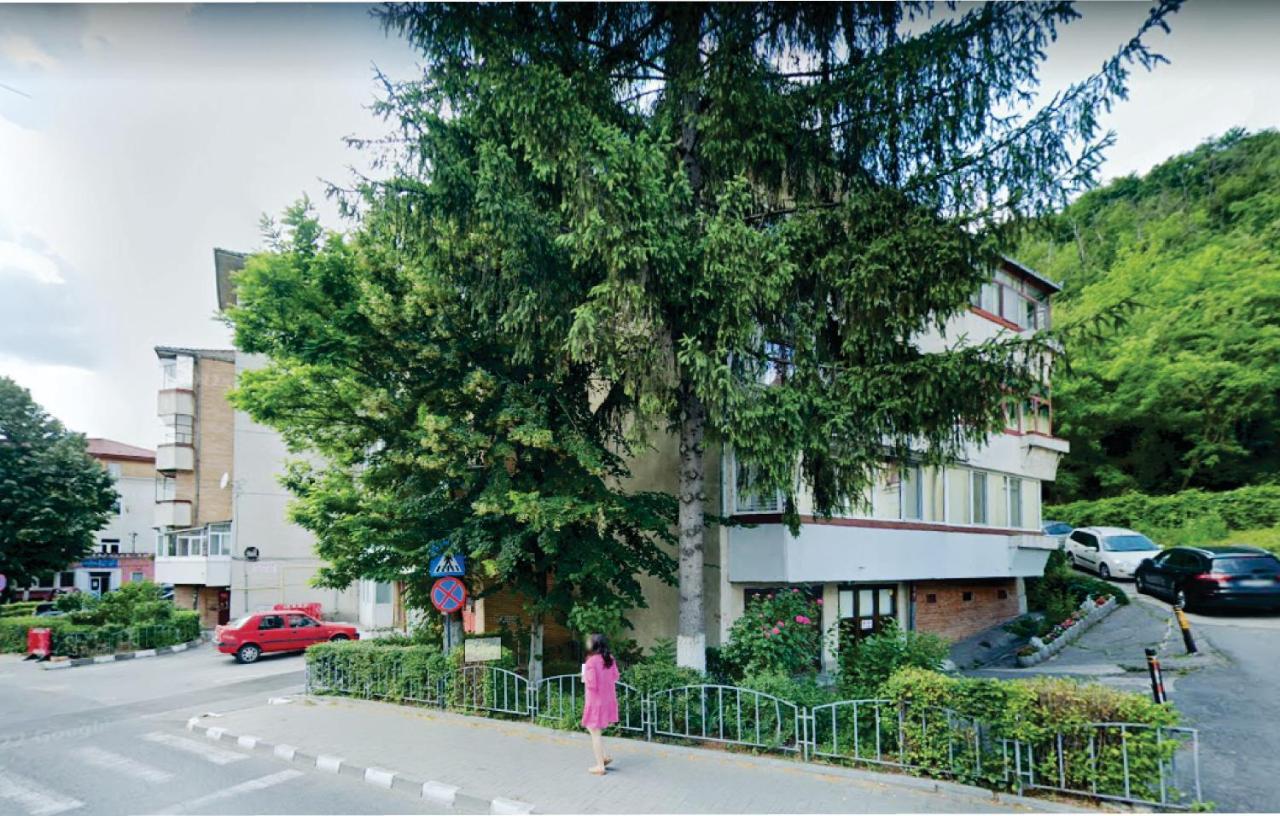 Апартаменты Vero Apartament Central Rm Valcea Рымнику-Вылча Экстерьер фото